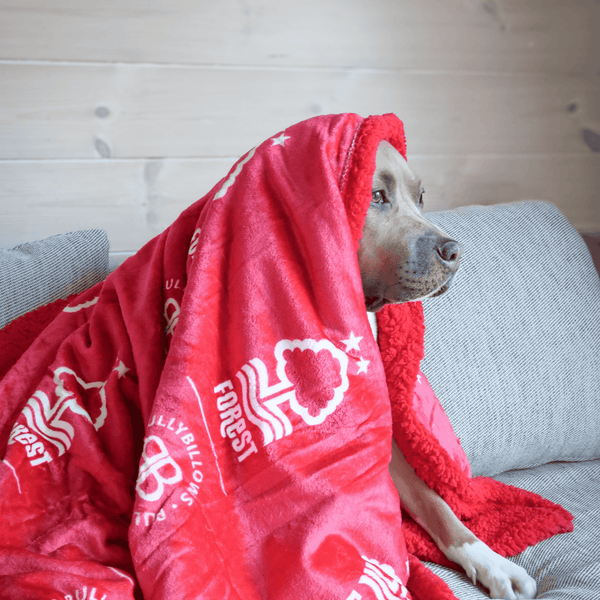 Nottingham Forest Edition | Luxury Dog & Human Blanket