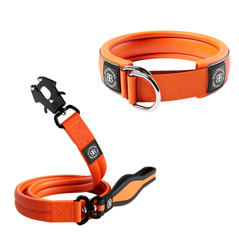 4cm Slip-on Collar & Mini Combat Lead Bundle - Orange