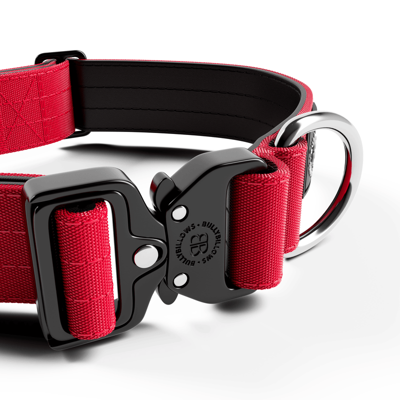 4cm Combat® Collar | Rated Clip - NO HANDLE - Red
