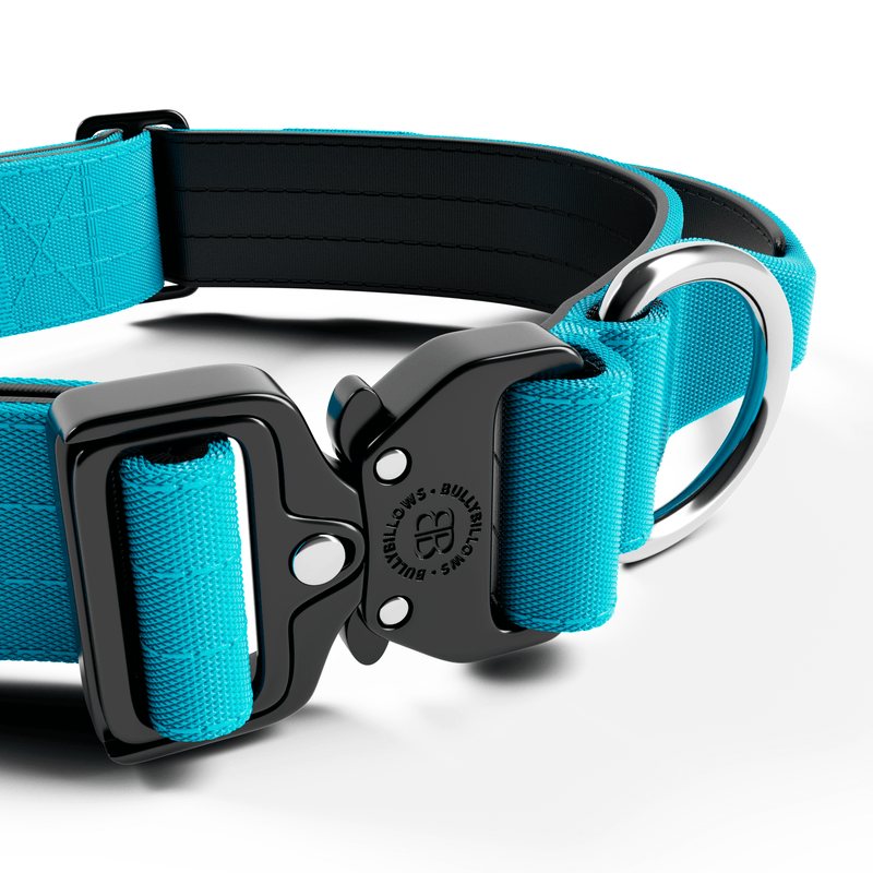 4cm Combat® Collar | With Handle & Rated Clip - Light Blue
