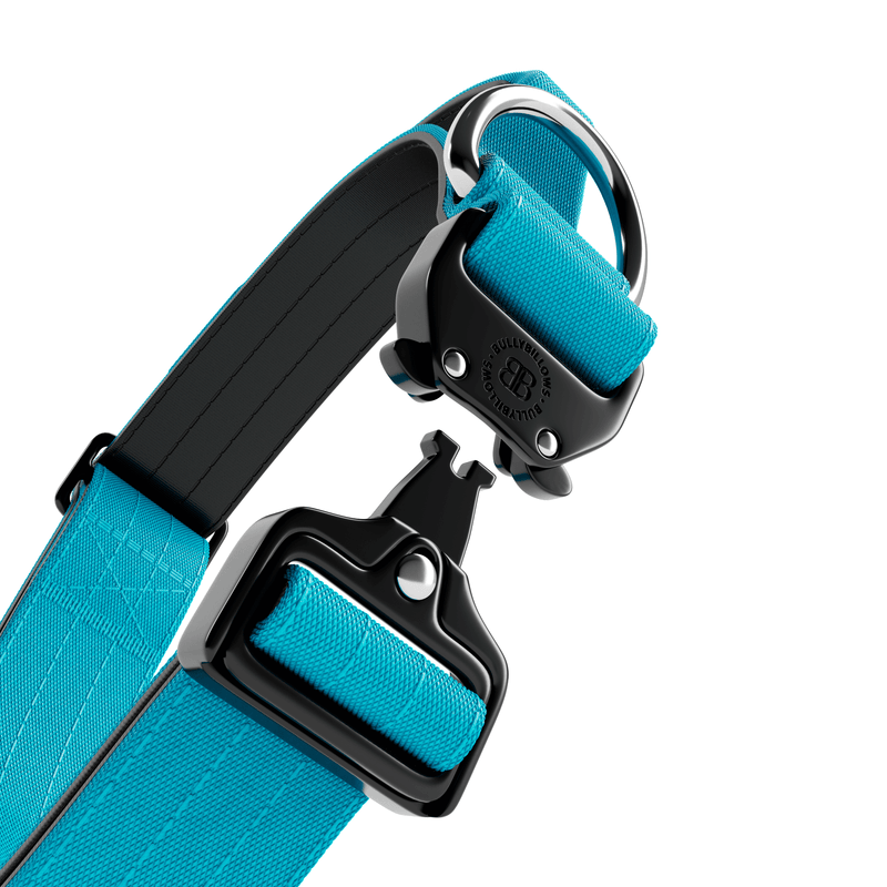4cm Combat® Collar | With Handle & Rated Clip - Light Blue