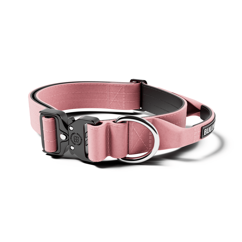 4cm Combat® Collar | Handle & Rated Clip - Pink
