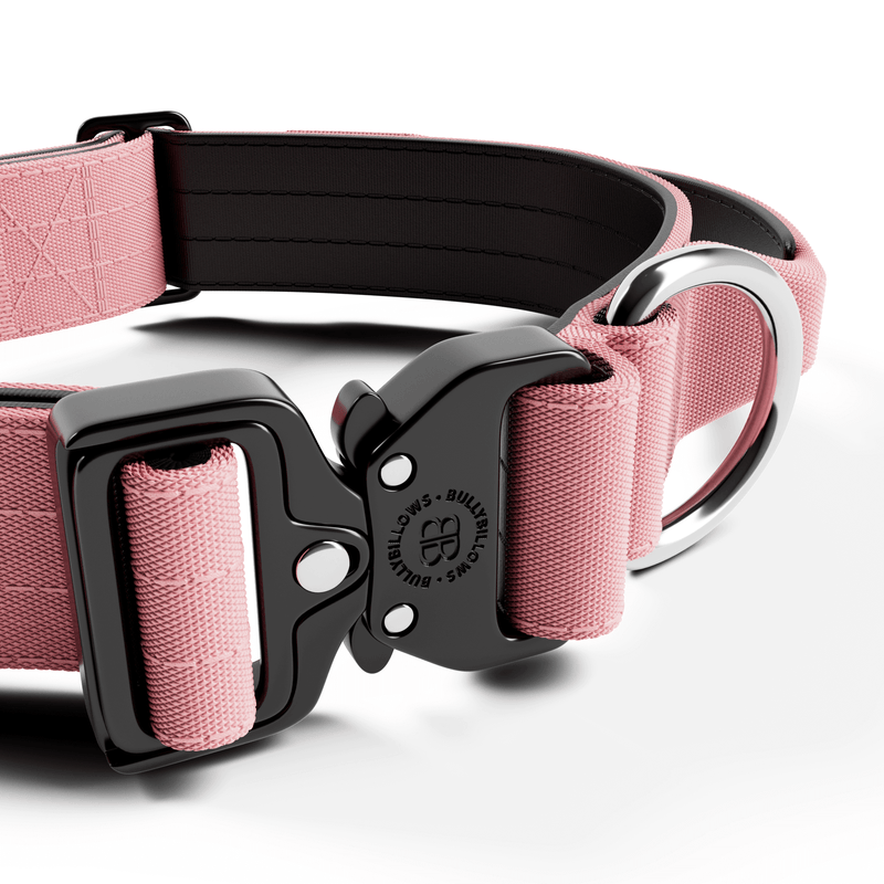 4cm Combat® Collar | Handle & Rated Clip - Pink