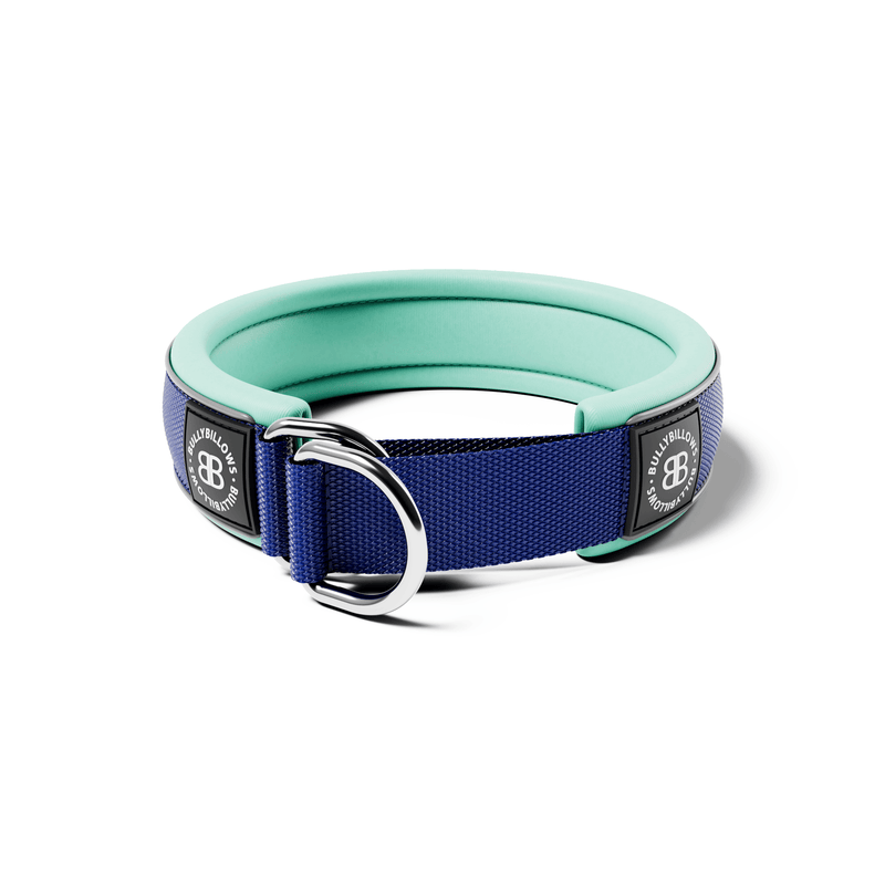 4cm Slip on Collar | Foam Padded - Blue x Turquoise