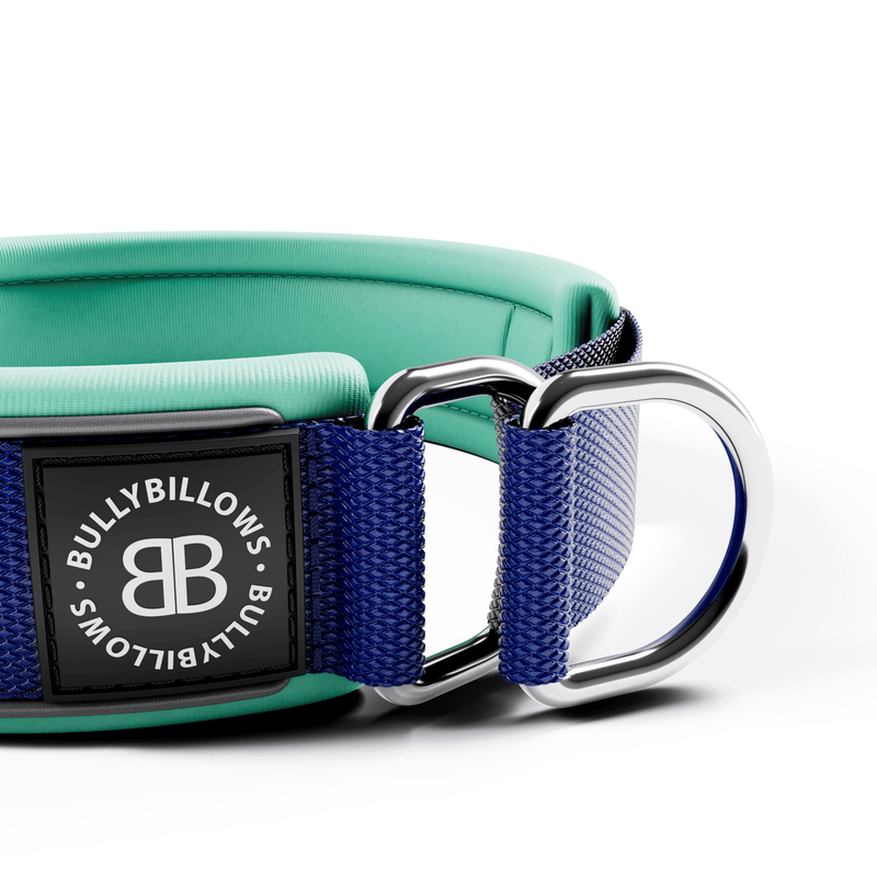 4cm Slip on Collar | Foam Padded - Blue x Turquoise