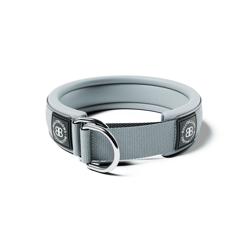 4cm Slip on Collar | Foam Padded - Metal Grey