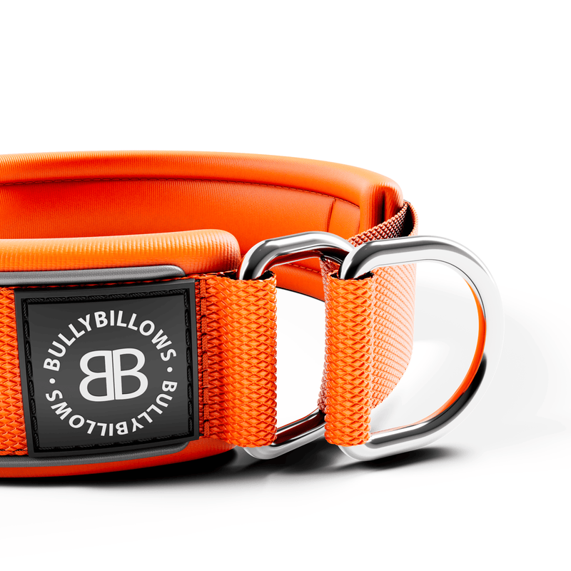 5cm Slip on Collar | Foam Padded - Orange