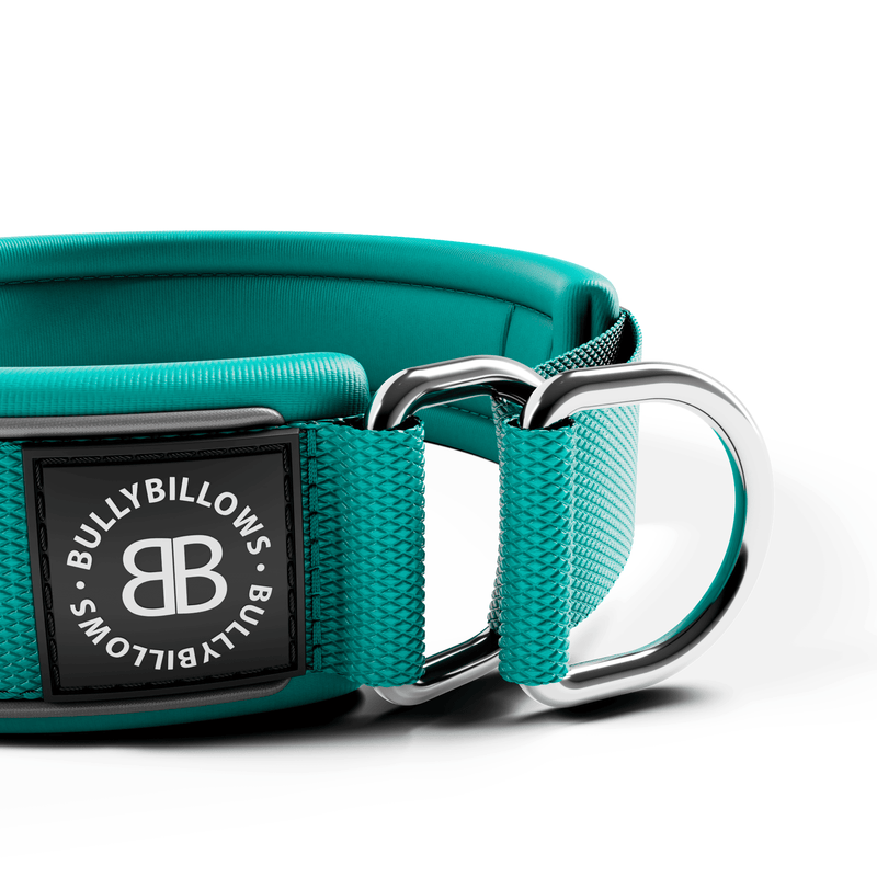 4cm Slip on Collar | Foam Padded - Turquoise