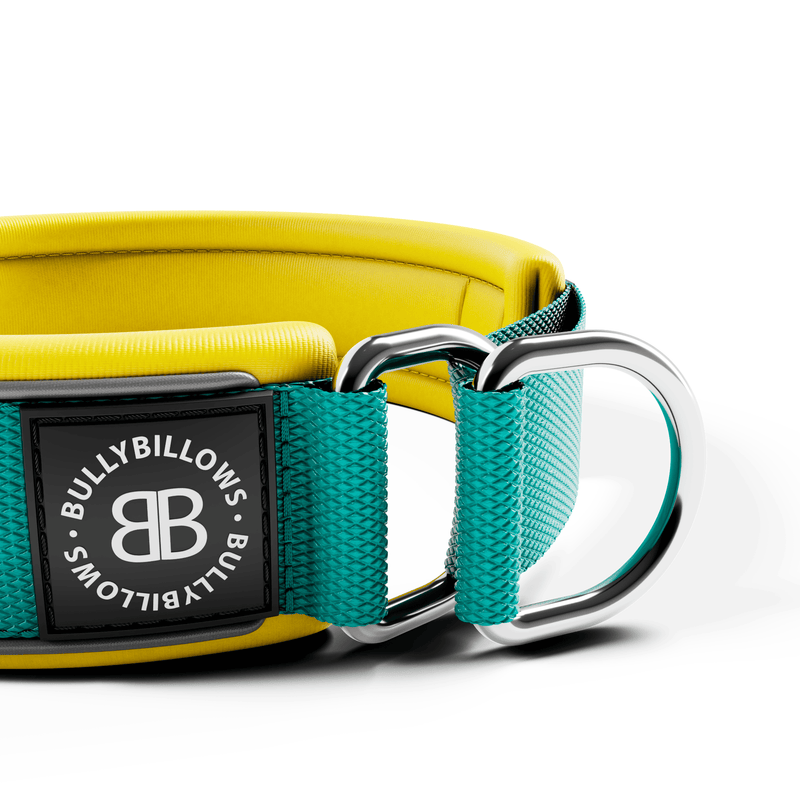 5cm Slip on Collar | Foam Padded - Turquoise x Yellow