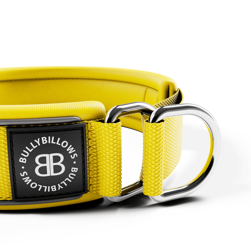4cm Slip on Collar | Foam Padded - Yellow