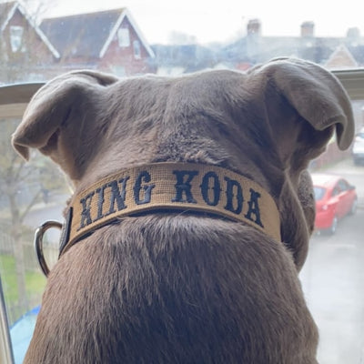 Tan collar with black text in saloon font