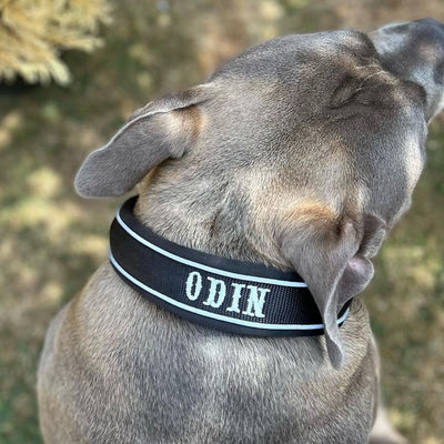 Black collar with white text in saloon font