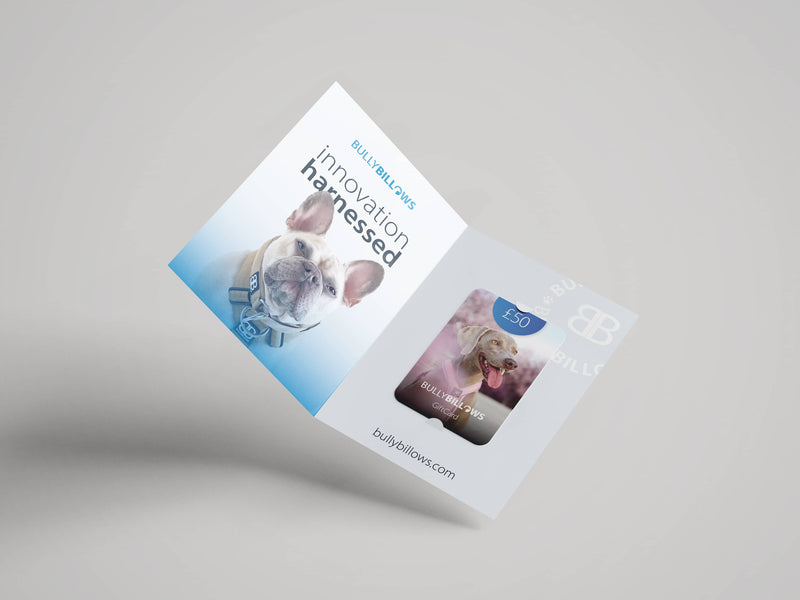E-Gift Cards