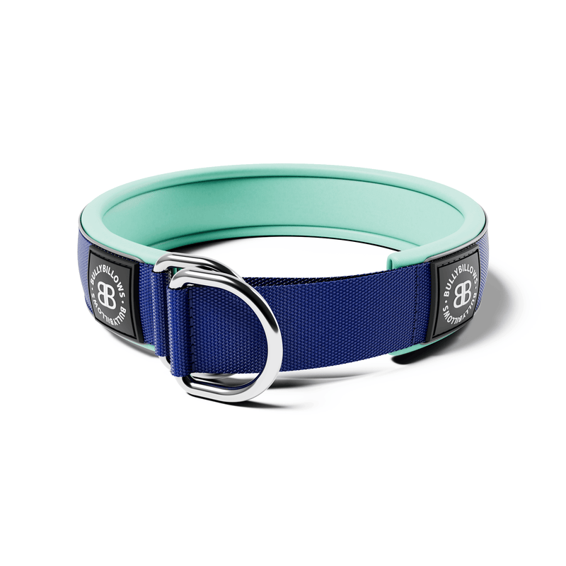 5cm Slip on Collar | Foam Padded - Blue x Turquoise