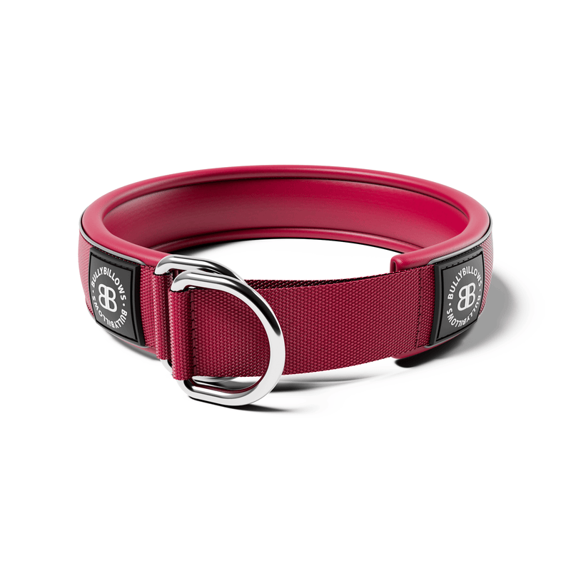 5cm Slip on Collar | Foam Padded - Burgundy