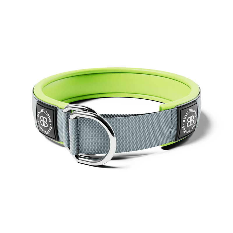 5cm Slip on Collar | Foam Padded - Metal Grey x Neon