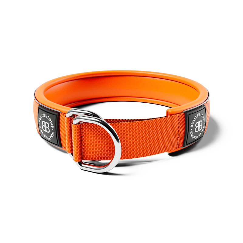 5cm Slip on Collar | Foam Padded - Orange