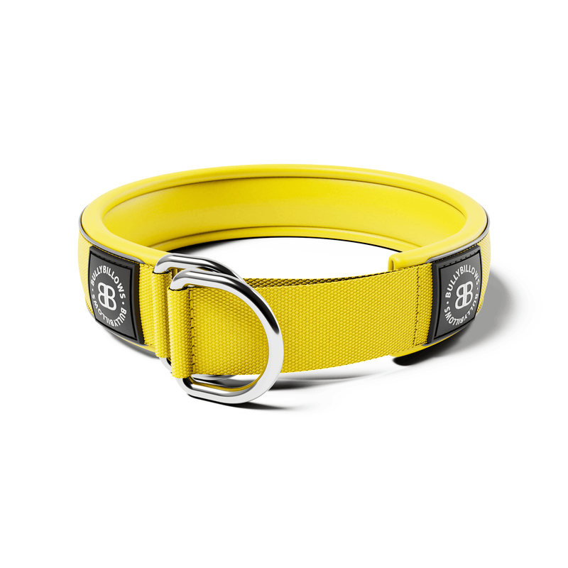 5cm Slip on Collar | Foam Padded - Yellow