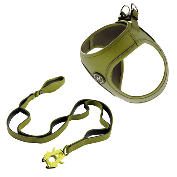 Step-in Harness & Ladder Combat Lead Bundle - Olive Green
