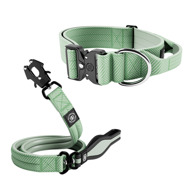 5cm Herringbone Collar & Lead Bundle - Mint Green