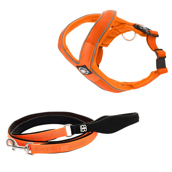 Slip-on Harness & Active Lead Bundle - Orange