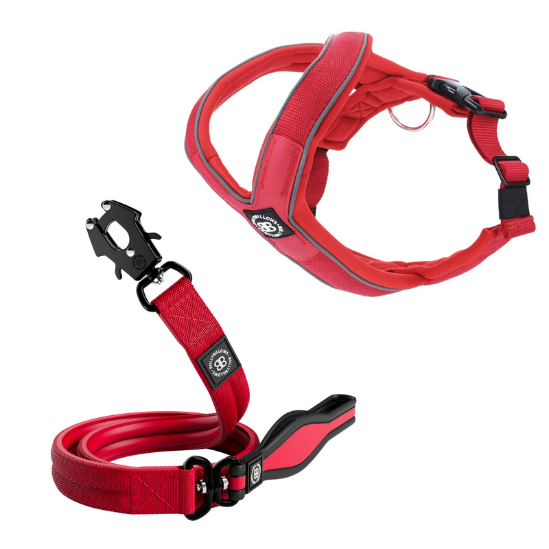 Slip-on Harness & Mini Combat Lead Bundle - Red