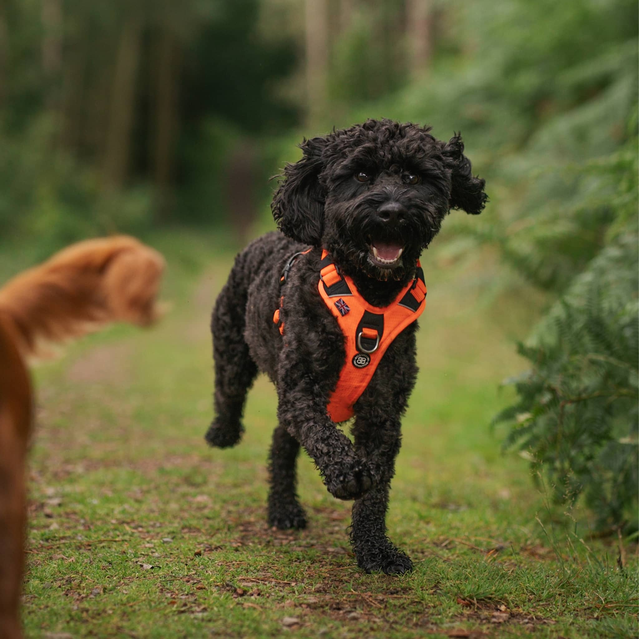 Action shots are totally fine