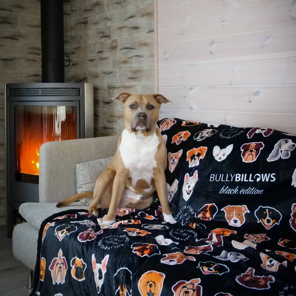 Pet Blanket Duo Bundle - Black & White Edition
