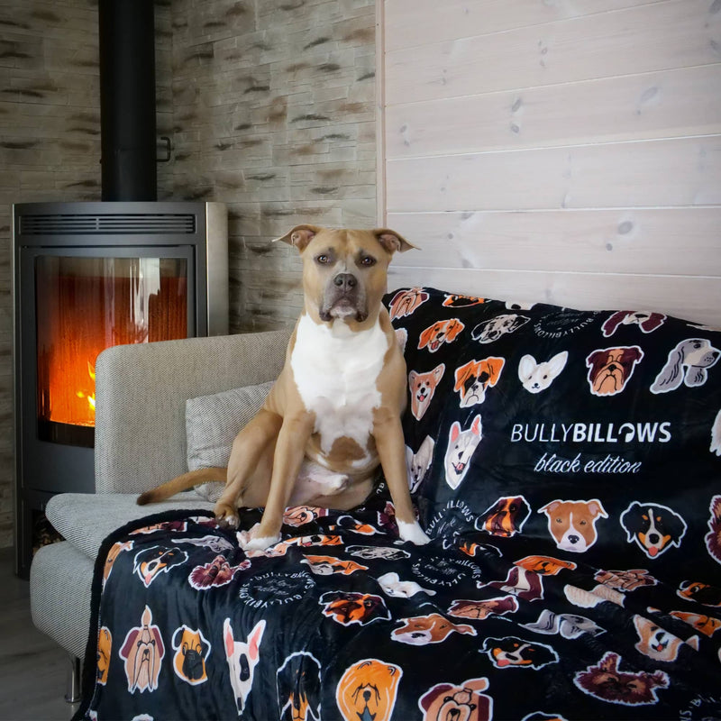 Pet Blanket Duo Bundle - Black & White Edition