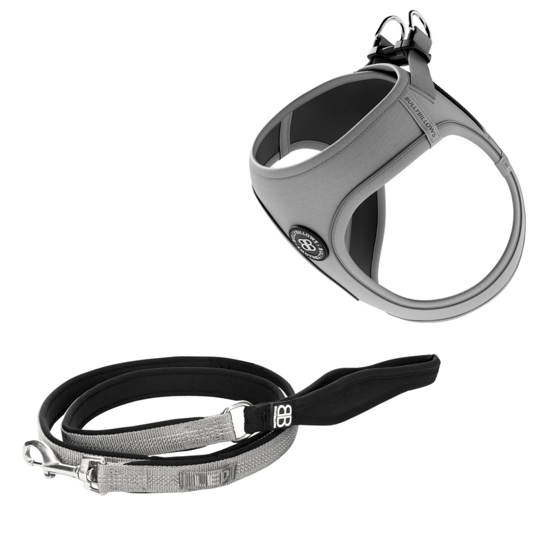 Step-in Harness & Active Lead Bundle - Grey