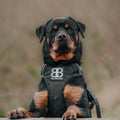 Mr. Barkley