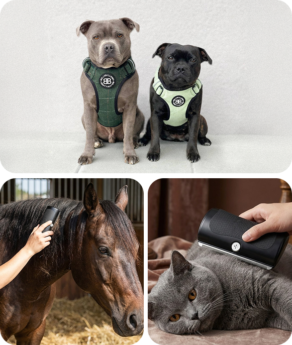 Three images: two dogs sat looking at the camera, a horse being groomed with deshedding comb, a cat laid on its side being brushed with the comb.