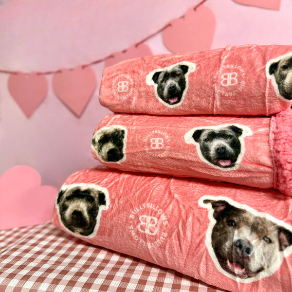 MYLA Pink Edition | Luxury Dog & Human Blanket
