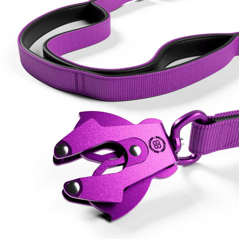 Ladder Combat® Multiple Handles Lead - Purple