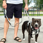 Ladder Lead - Multiple Handles During Walks - Teal