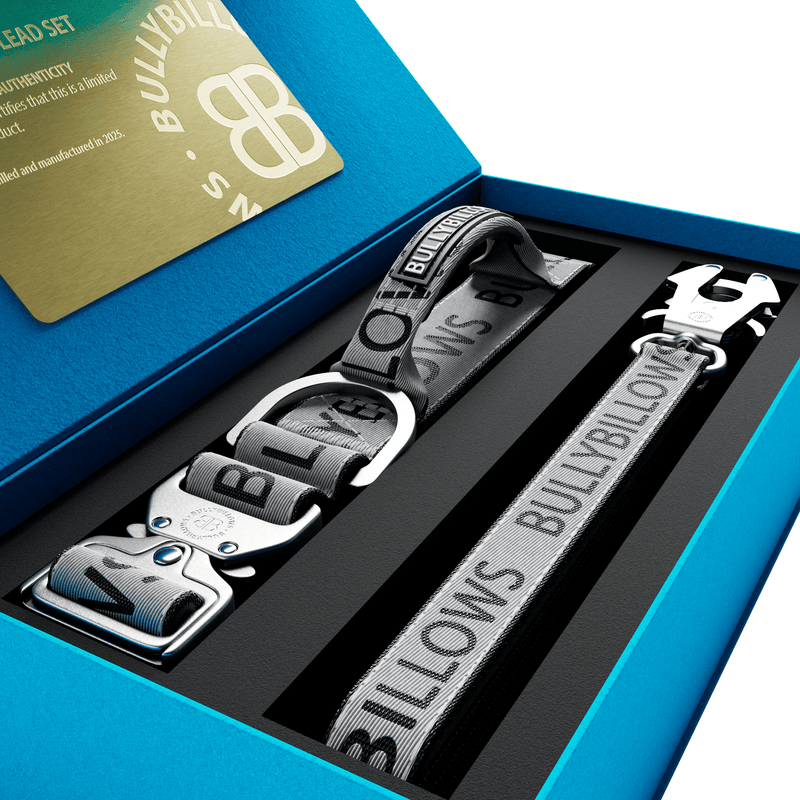 4cm Limited Edition Collar Width & Adjustable Lead Set