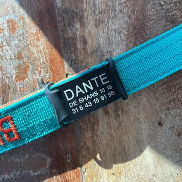 Black ID attachment tag on a blue lead