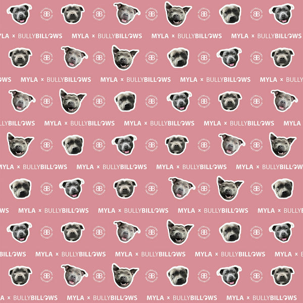 MYLA Pink Edition | Luxury Dog & Human Blanket