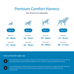 Premium Comfort Harness | Non Restrictive & Adjustable - Turquoise v2.0