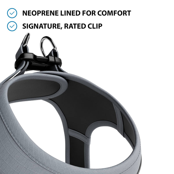 Step-in Harness & Active Lead Bundle - Grey