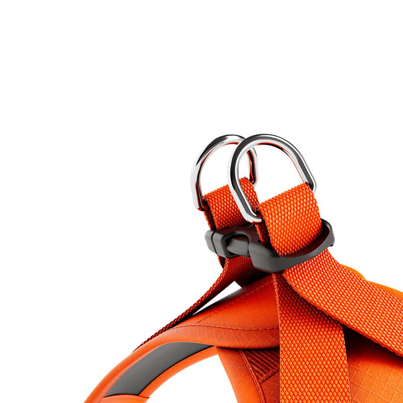 Step in Harness | XS-M Breeds - Orange