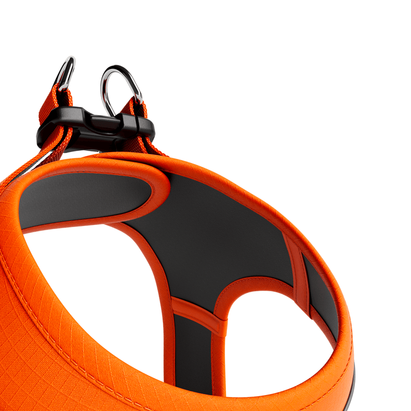Step in Harness | XS-M Breeds - Orange