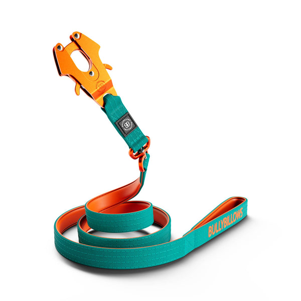 5cm Lighter Combat® Collar & Swivel Lead Bundle - Turquoise x Orange