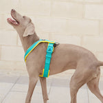 Slip on Padded Comfort Harness | Non Restrictive & Reflective - Turquoise & Yellow