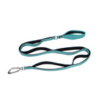 Ladder Lead - Multiple Handles During Walks - Teal