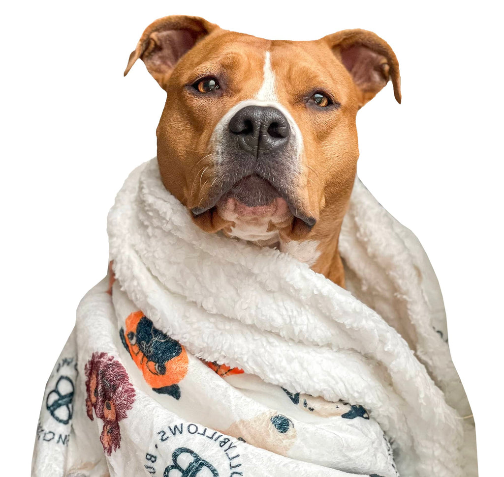 <strong>Snuggle</strong> Season?