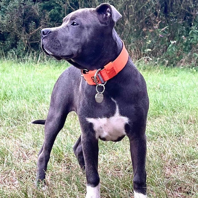 Silver ID tag