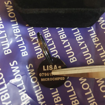 Engraved BullyBillows Dog ID Tag showing owner’s contact details on branded BullyBillows background