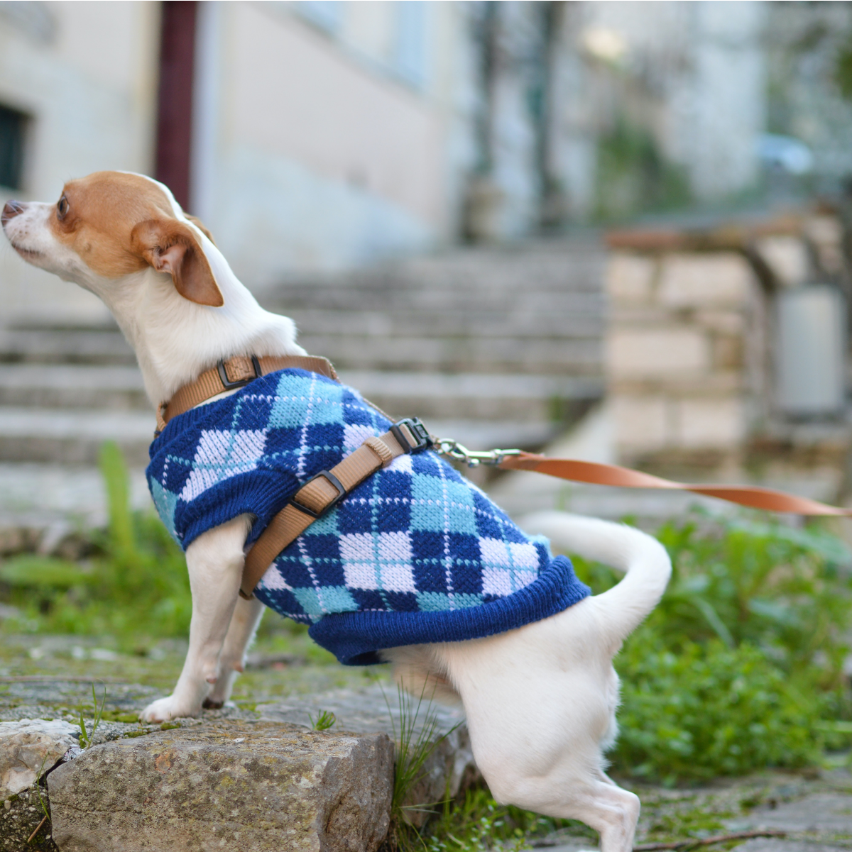 Don't showcase other branded items