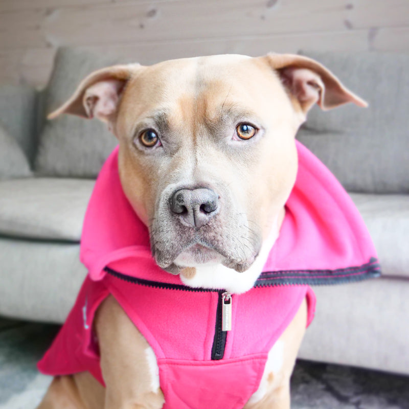 Dog Coat With Zip - Shower Proof - Carminerose
